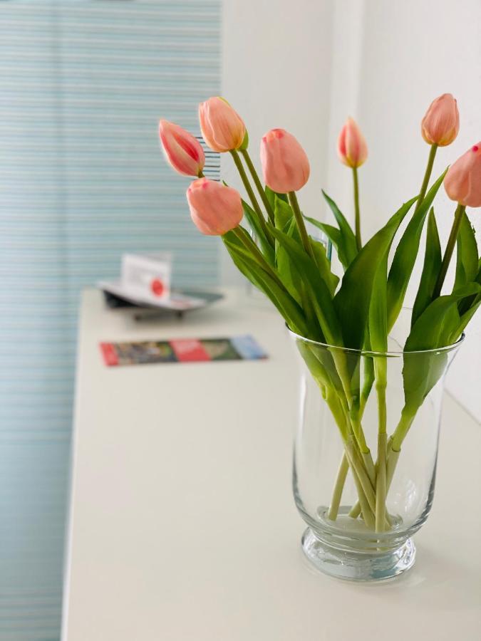 Ferienwohnung Familie Seuferle 슈바이겐레크텐바크 외부 사진